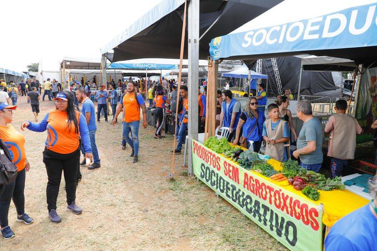 53292339818 d8d94cc165 c