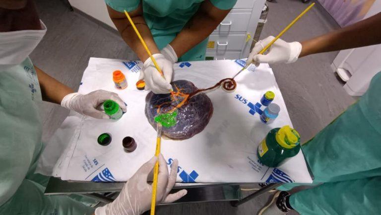 WhatsApp Image 2023 10 29 at 11.24.23