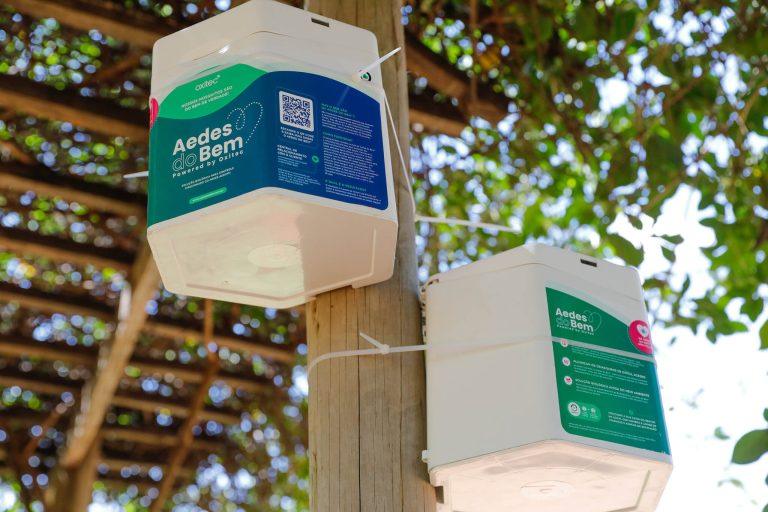 Dentro 2 8 2048x1365 1