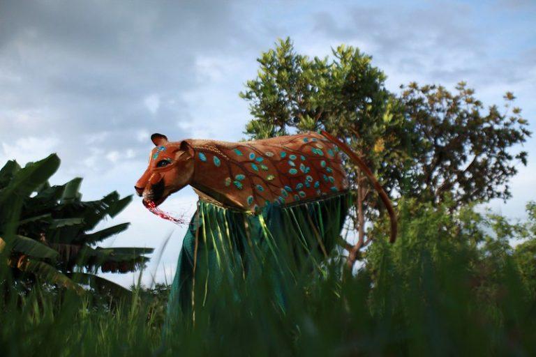 53369103868 c026f4a21a c