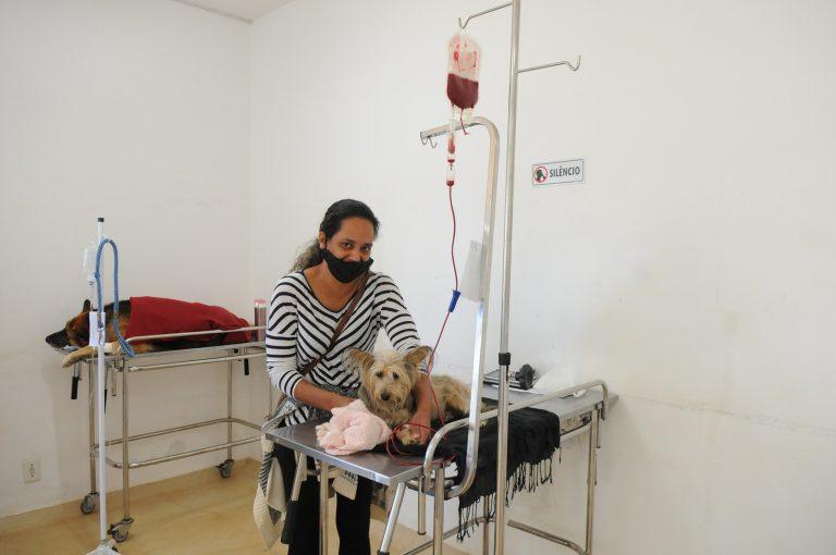 Paulo H. Carvalho Agencia Brasilia