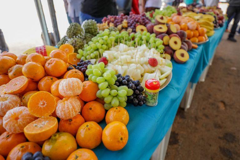 Foto Geovana Albuquerque 8 1536x1024 1