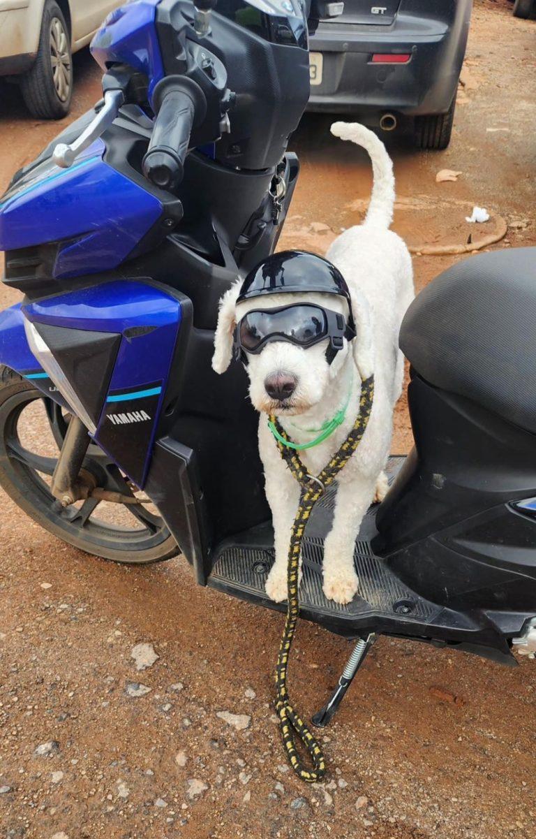 Screenshot 20240222 162919 WhatsApp