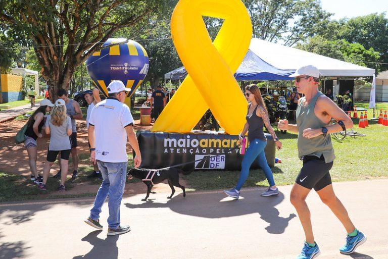 53700864169 673fdd9dbe c