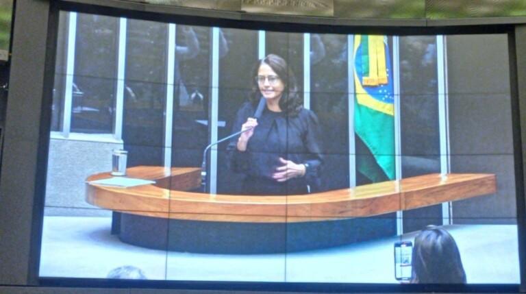 Captura de tela 2024 07 03 190514