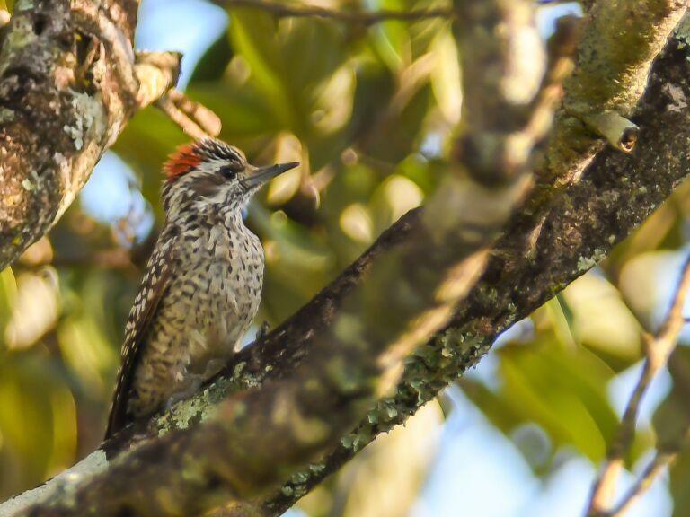 WhatsApp Image 2024 08 02 at 16.23.50