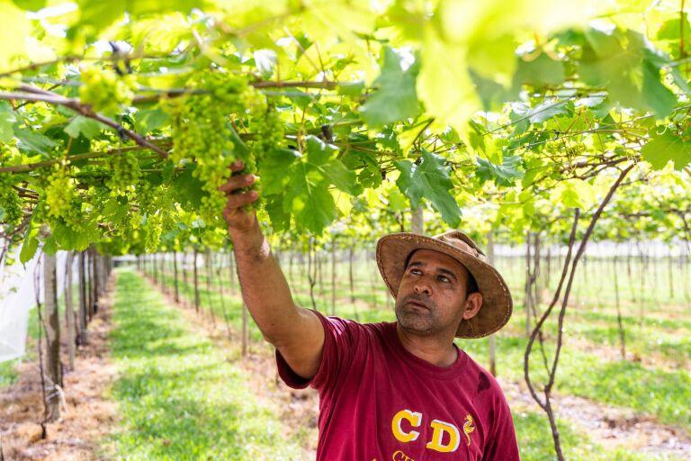 WhatsApp Image 2024 08 16 at 16.19.04