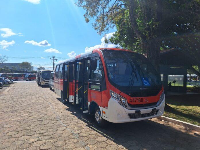 onibus Zebrinha 696x522 1