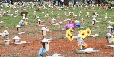 WhatsApp Image 2024 10 31 at 08.41.35 400x200 1