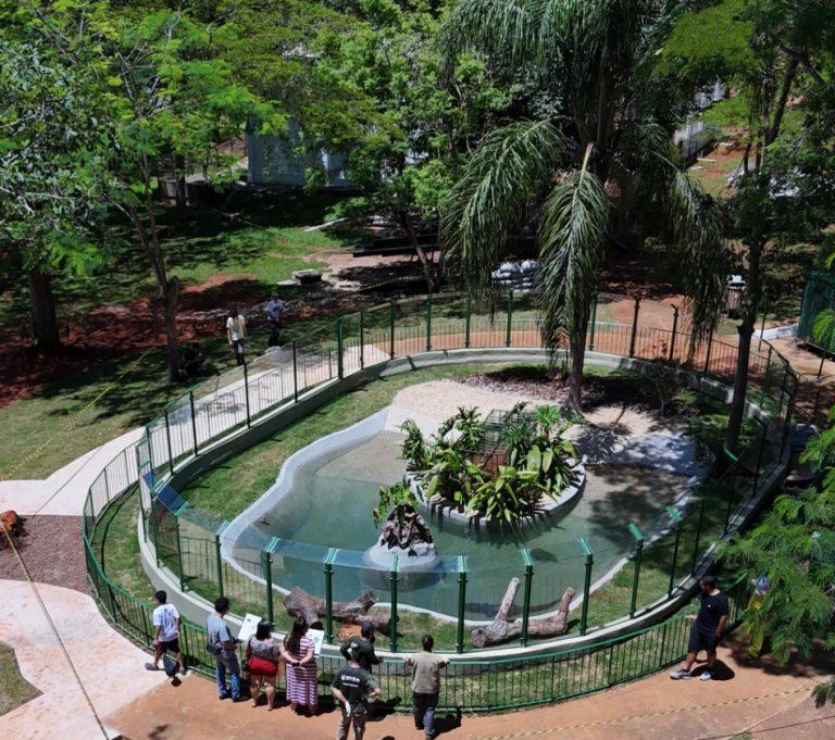 11.12. Materia Zoologico de Brasilia e1733929706404 768x681 1