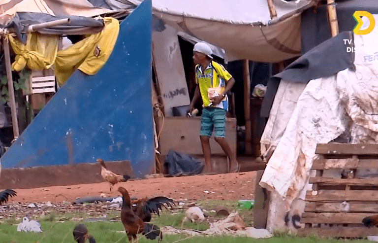 Captura de tela 2024 12 17 180819