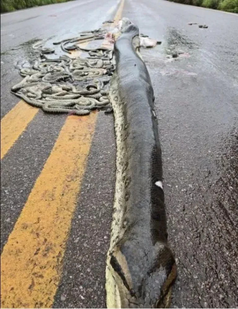 6a777f5128ebe9bd4b928e9b4b3798e9