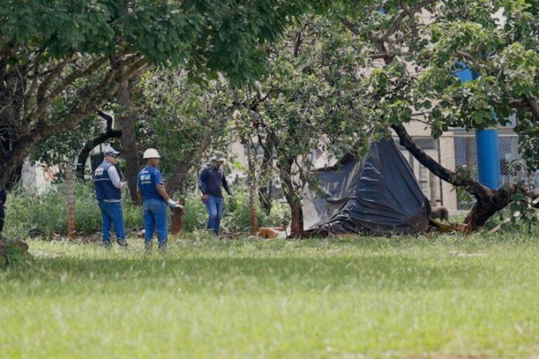 acolhimento atende 38 pessoas 696x464 1