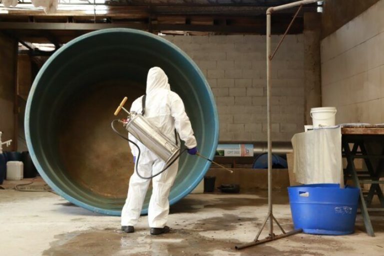 combate a dengue 696x464 1