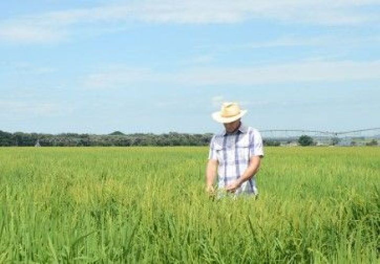 Captura de tela 2025 03 18 122419