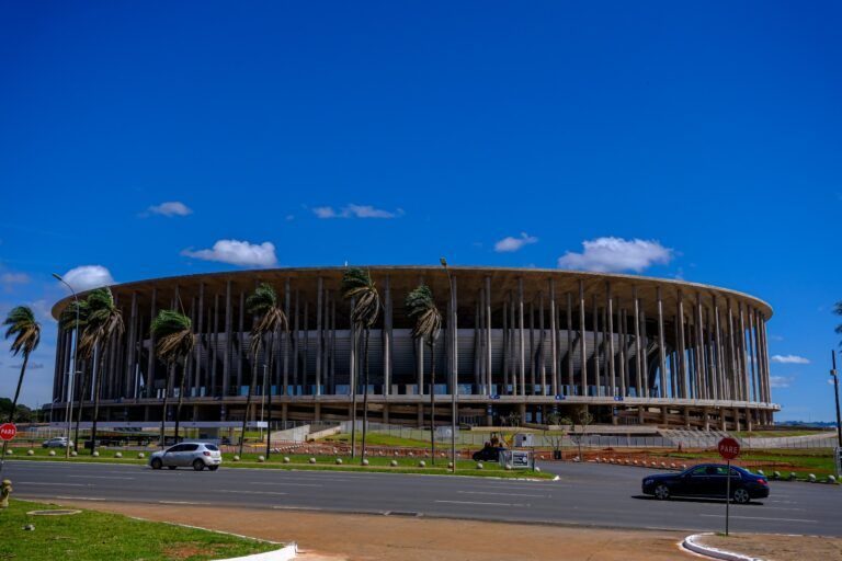 Mane garrincha 768x512 1