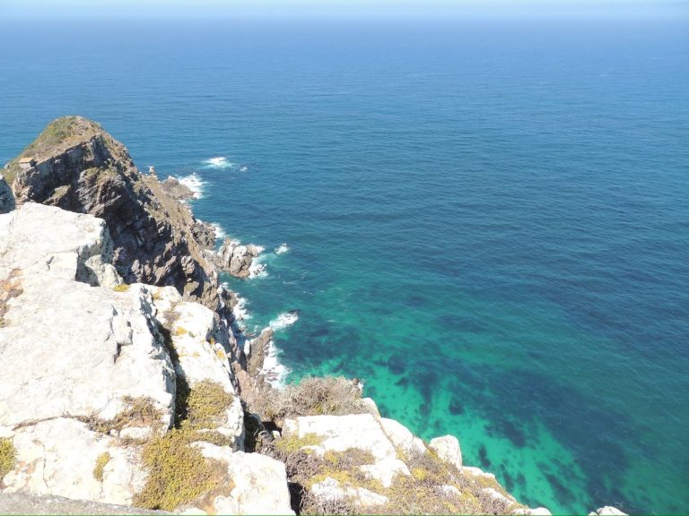 c51bcfa6 d3c8 43a8 8c41 0d9200dffc40 2 1