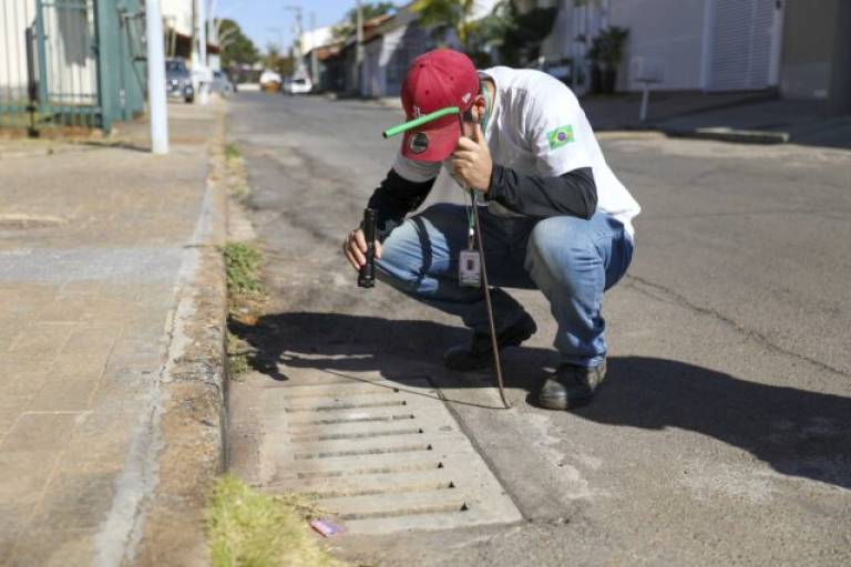 GDF intensifica combate aos escorpiões com inspeções e orientações à população