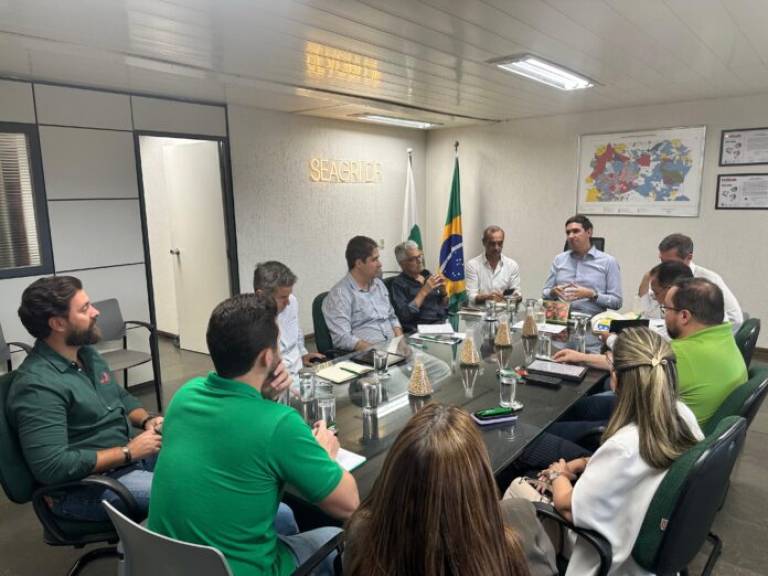 GDF articula soluções para crise no fornecimento elétrico que ameaça granjas