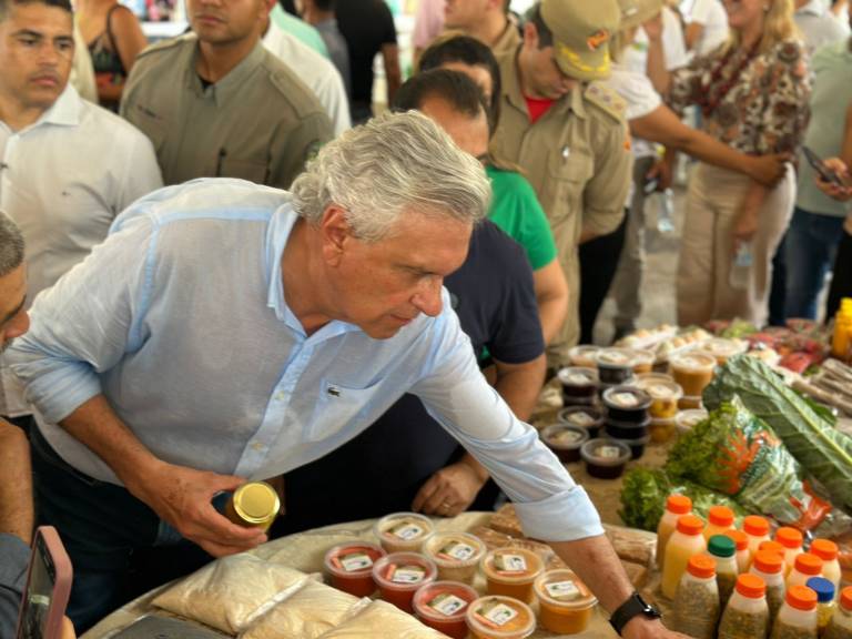 Feira #NoEntornoTem leva o melhor de Goiás para Brasília nos dias 18 e 19 de outubro