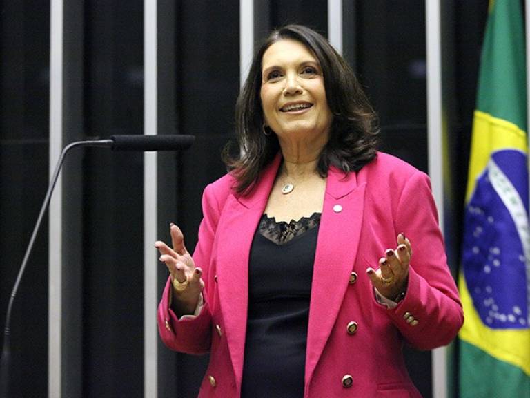 Bia Kicis reage à indicação de Flávio Bolsonaro e expõe racha no PL do DF