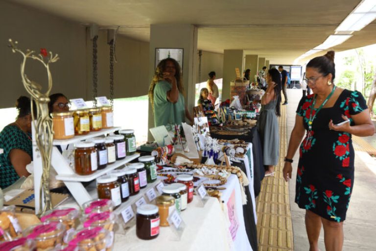 II Feira Raízes do Entorno é sucesso e fortalece empreendedorismo na Ride